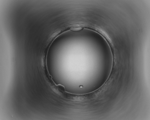 X0000115380105200911101314