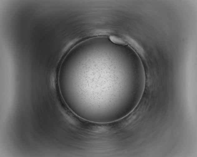 X0000115380107200911101314