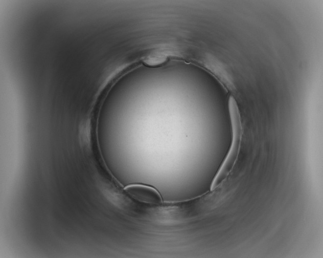 X0000115380108200911101314