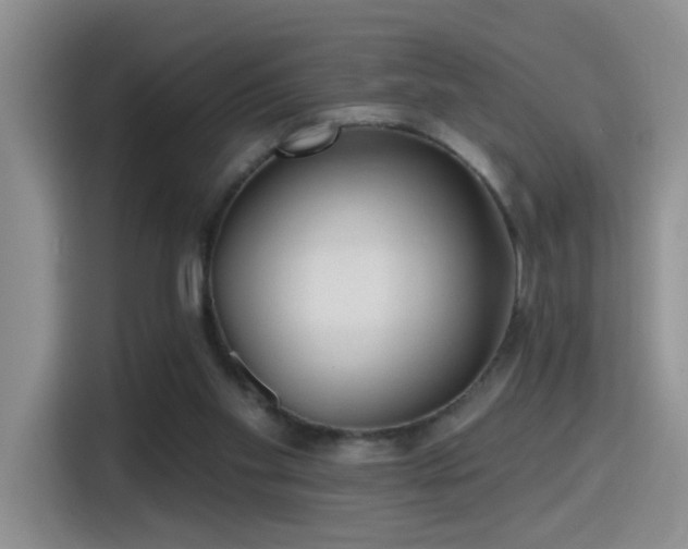 X0000115380109200911101314
