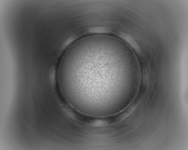 X0000115380111200911101314