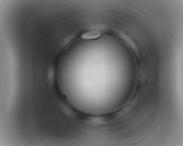 X0000115380113200911101314