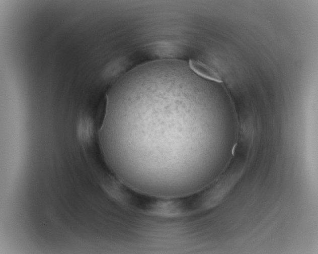 X0000115380117200911101314