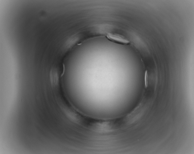 X0000115380120200911101314