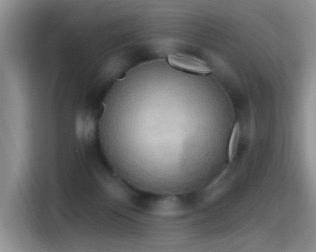 X0000115380124200911101314