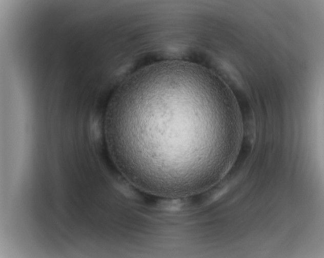 X0000115380131200911101314