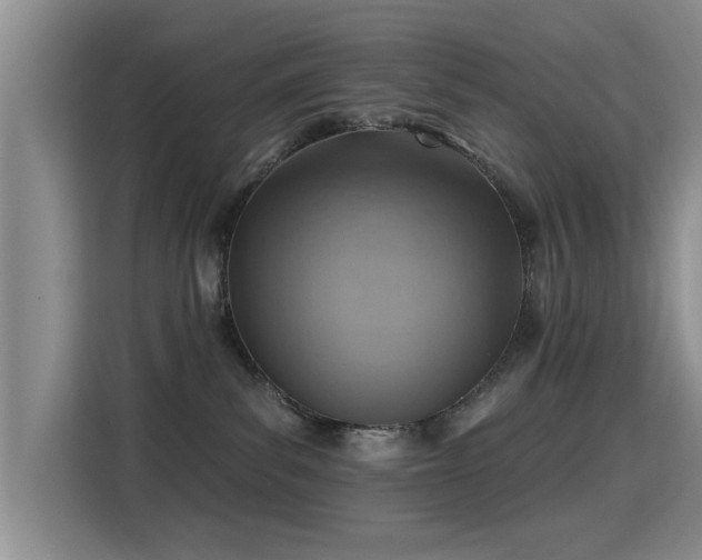 X0000115380139200911101314