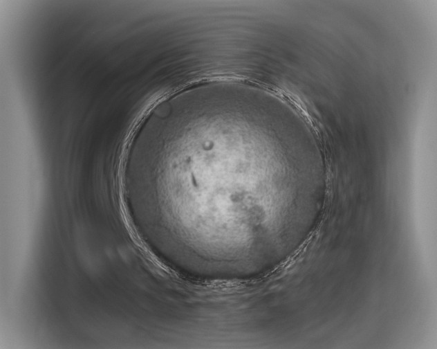 X0000115380145200911101313