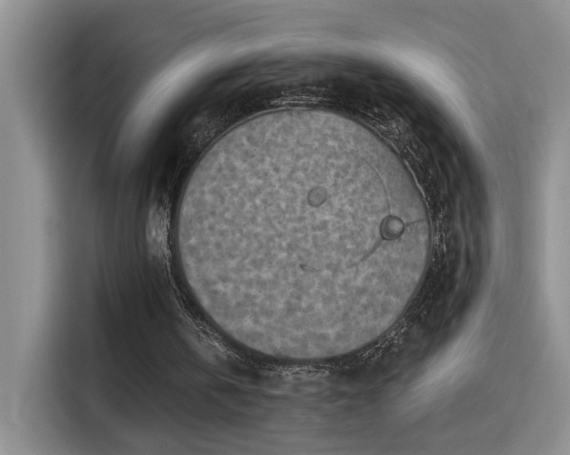 X0000115380146200911101313