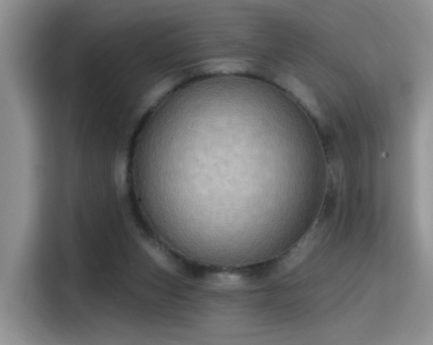 X0000115380159200911101313