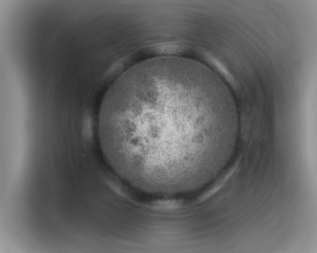 X0000115380161200911101313