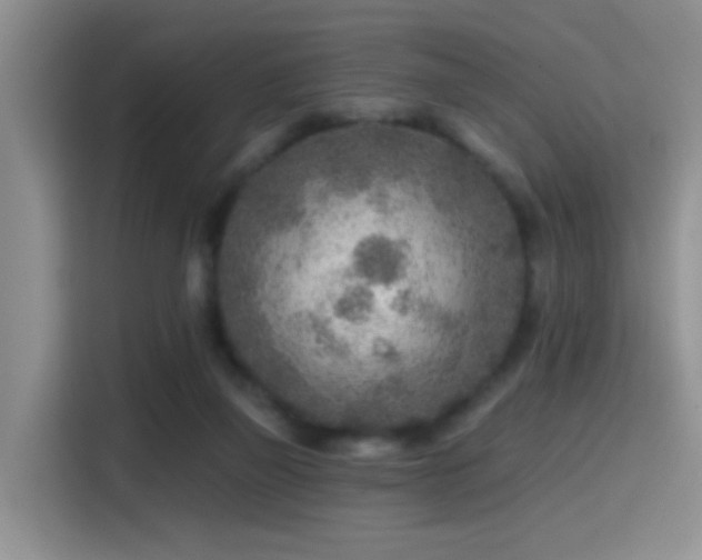 X0000115380165200911101313