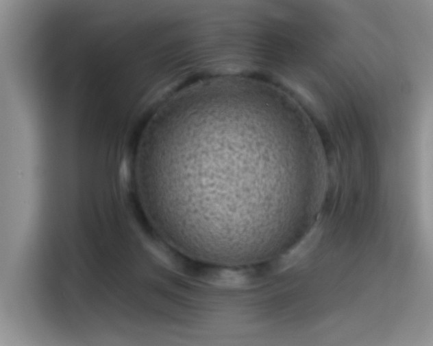 X0000115380166200911101313