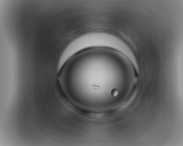 X0000115380170200911101313