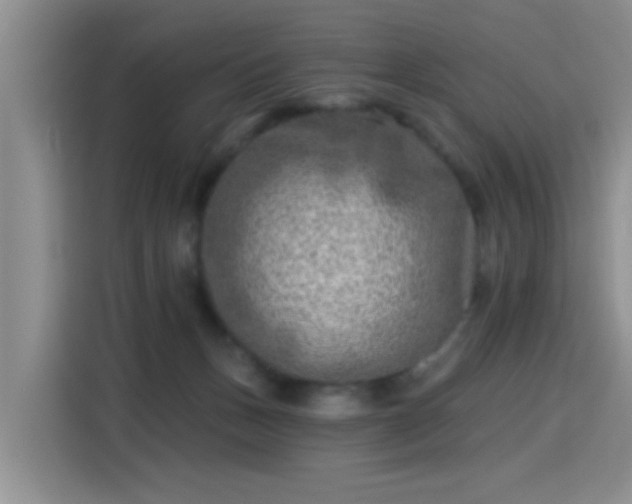 X0000115380175200911101314