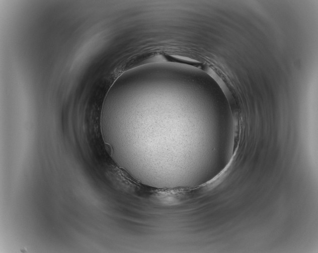 X0000115380190200911101314