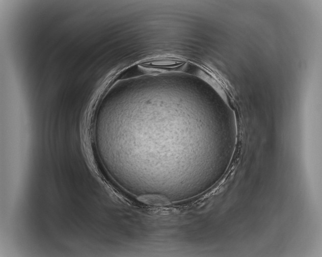 X0000115380193200911101313