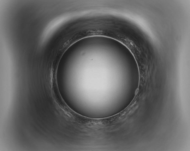 X0000115380194200911101313