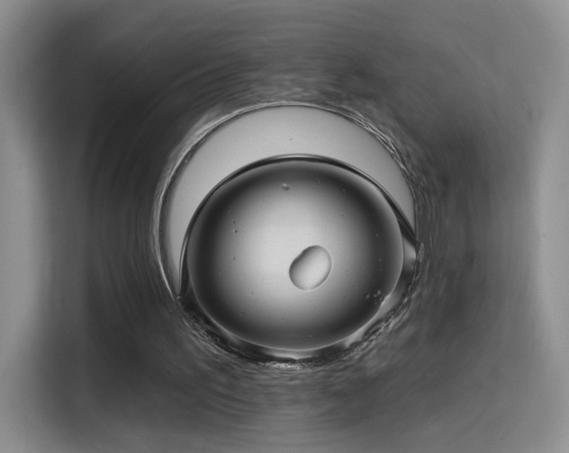 X0000115380195200911101313