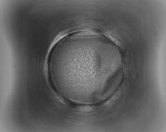 X0000115380198200911101313