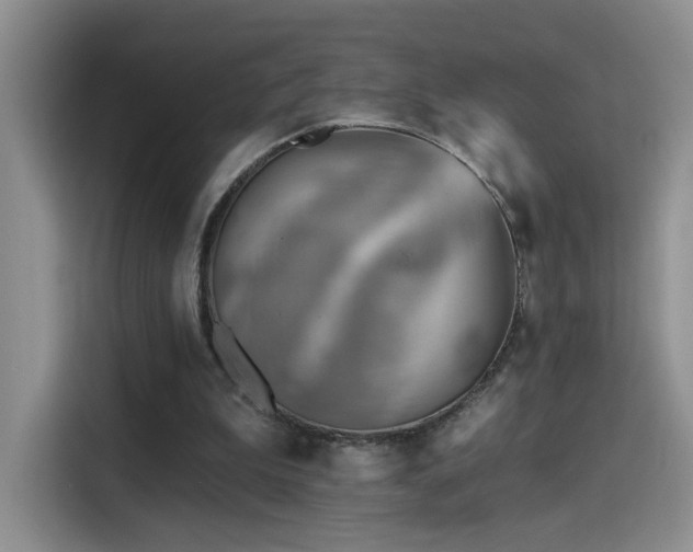 X0000115380199200911101313