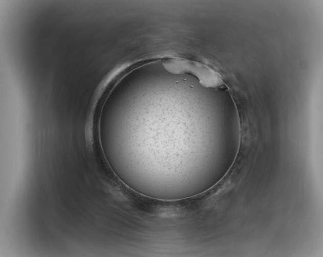 X0000115380200200911101313