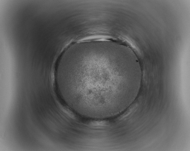 X0000115380202200911101313
