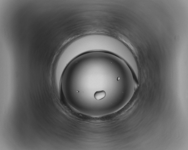 X0000115380203200911101313
