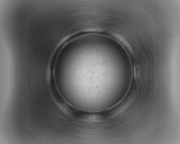 X0000115380204200911101313