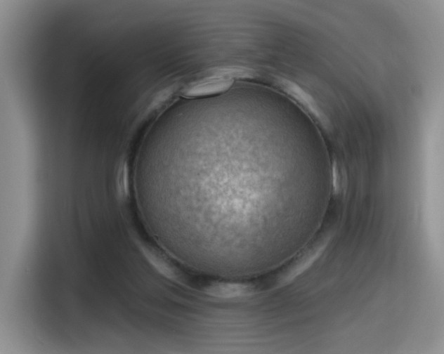 X0000115380205200911101313