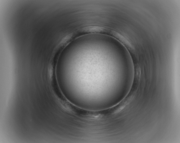X0000115380206200911101313
