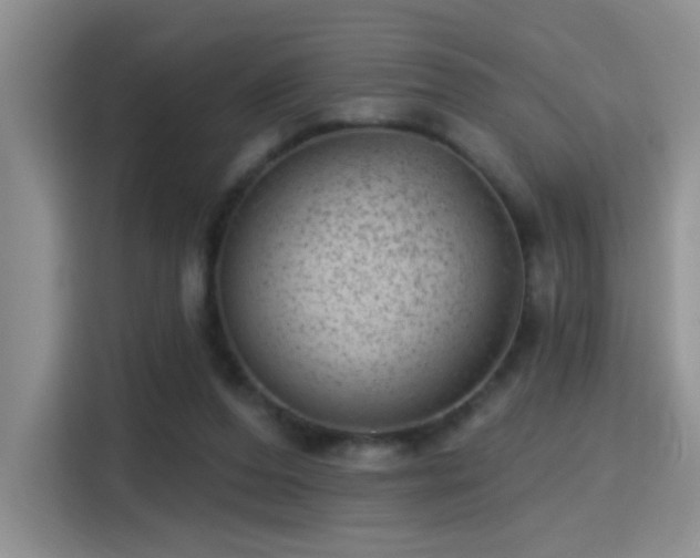 X0000115380208200911101313