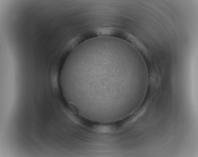 X0000115380209200911101313