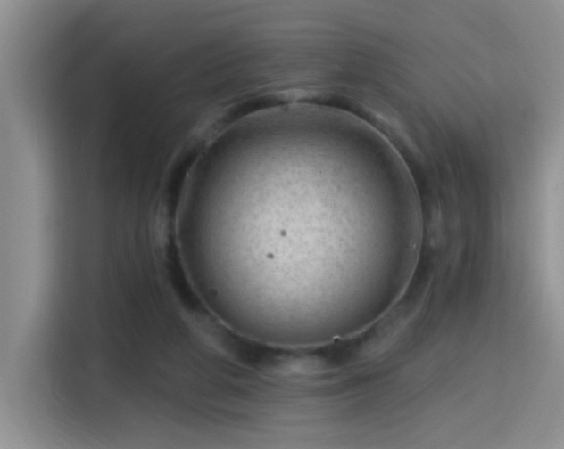 X0000115380210200911101313