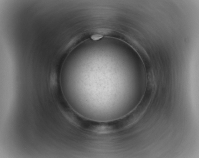 X0000115380212200911101313