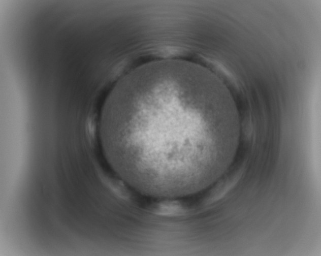 X0000115380214200911101313