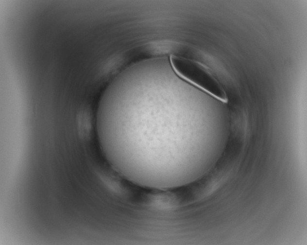 X0000115380215200911101313