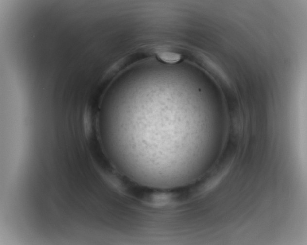 X0000115380216200911101313