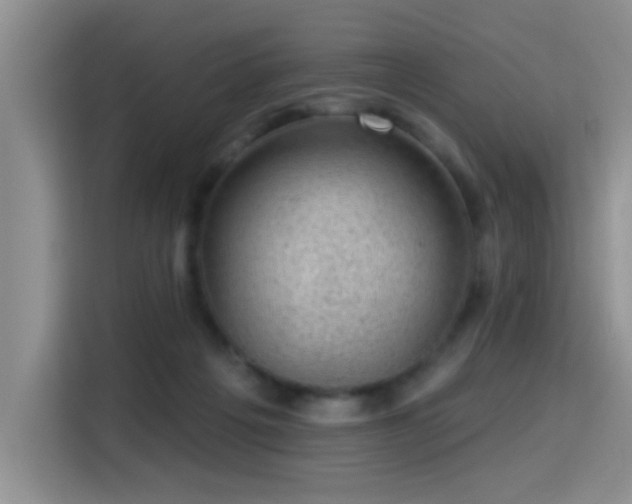 X0000115380217200911101313