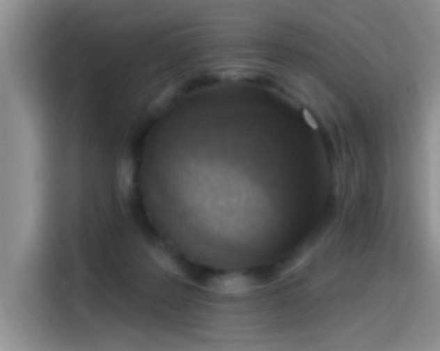 X0000115380219200911101313