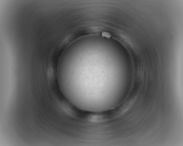 X0000115380220200911101313