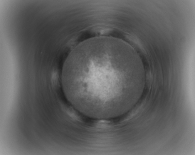 X0000115380222200911101313