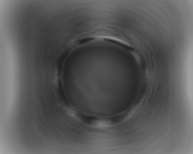 X0000115380223200911101313