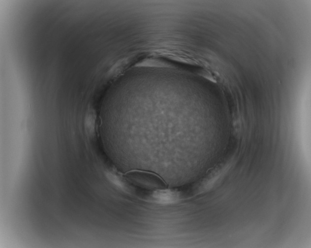X0000115380231200911101313
