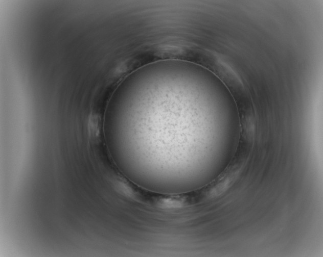 X0000115380232200911101313