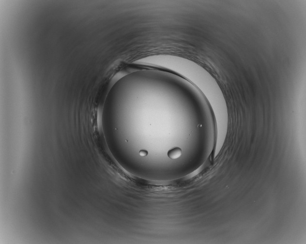 X0000115380237200911101313