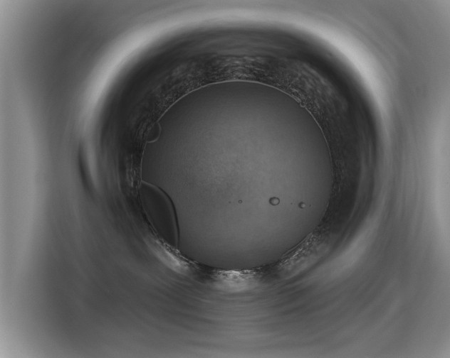 X0000115380239200911101312