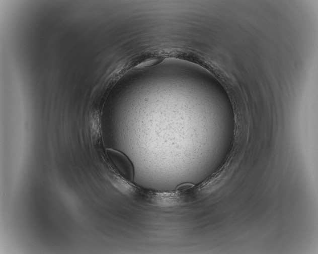 X0000115380240200911101312