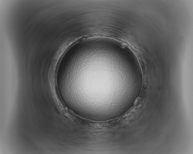X0000115380241200911101312