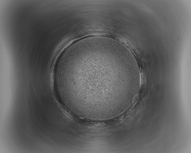 X0000115380243200911101312